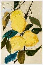 JUNIQE - Poster met kunststof lijst Lemonstudy 1 -13x18 /Geel & Ivoor