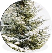 WallCircle - Wandcirkel - Muurcirkel - Winter - Boom - Sneeuw - Aluminium - Dibond - ⌀ 60 cm - Binnen en Buiten