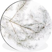 WallCircle - Wandcirkel - Muurcirkel - Winter - Takken - Sneeuw - Aluminium - Dibond - ⌀ 60 cm - Binnen en Buiten