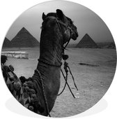 WallCircle - Wandcirkel ⌀ 150 - Egypte - Kameel - Zwart - Wit - Ronde schilderijen woonkamer - Wandbord rond - Muurdecoratie cirkel - Kamer decoratie binnen - Wanddecoratie muurcirkel - Woonaccessoires