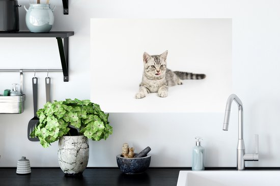 Sticker Muursticker Chats - Chaton fond blanc - 60x40 cm - film autocollant - sticker mural repositionnable