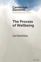 Elements in Psychology and Culture - The Process of Wellbeing