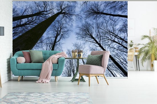 Papier peint - Papiers Papier peint photo Forêt - Arbres - Ciel - Largeur 390 cm x Hauteur 260 cm