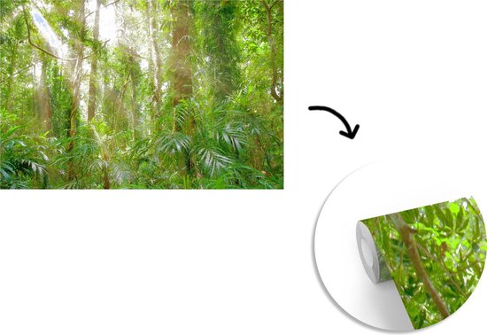 Papier peint - Papier peint photo Lumière dans la forêt - Largeur 360 cm x hauteur 240 cm