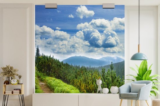 Papier peint - Papiers Papier peint photo Forêt - Chemin - Berg - Largeur 220 cm x Hauteur 220 cm