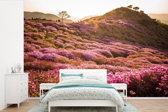 Papier peint photo peint photo vinyle - Paysage de bruyère vallonnée largeur 390 cm x hauteur 260 cm - Tirage photo sur papier peint (disponible en 7 tailles)