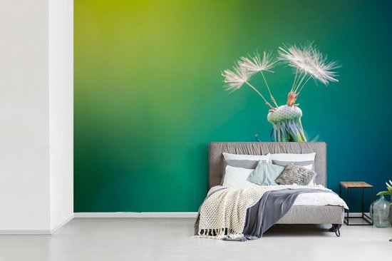 Papier peint photo peint photo vinyle - Pissenlit avec quelques graines largeur 525 cm x hauteur 350 cm - Tirage photo sur papier peint (disponible en 7 tailles)