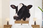 Photo studio d'une vache frisonne papier peint photo vinyle largeur 225 cm x hauteur 280 cm - Tirage photo sur papier peint (disponible en 7 tailles)