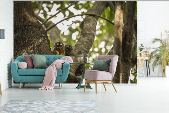 Papier peint photo peint photo vinyle - Petits animaux dans un arbre largeur 600 cm x hauteur 400 cm - Tirage photo sur papier peint (disponible en 7 tailles)