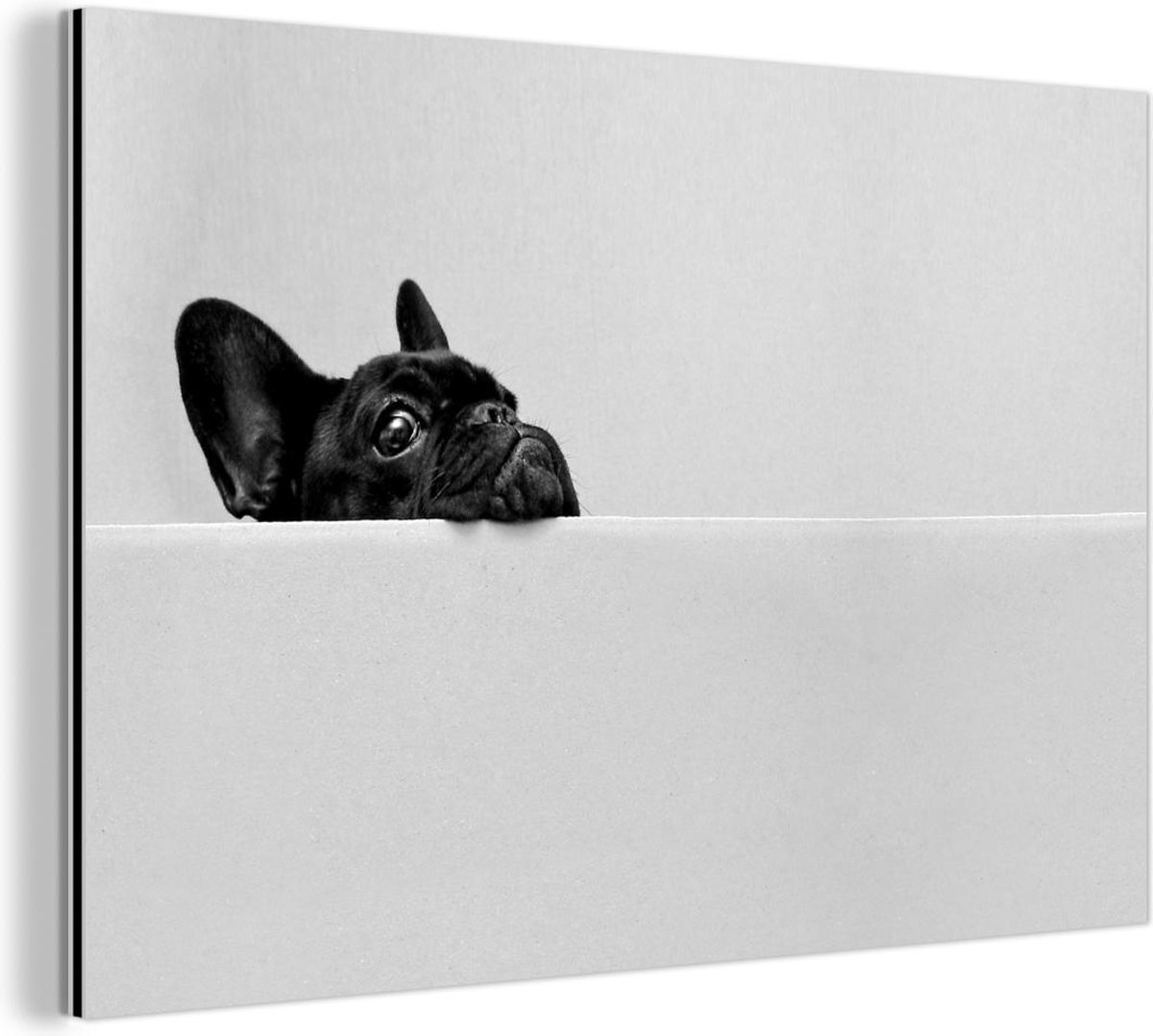 Tableau Pop Art Bulldog - Décoration Murale Fun | Art Contemporain