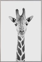 JUNIQE - Poster met kunststof lijst Giraffe Classic -20x30 /Wit &