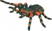 Insecten: Mexicaanse Roodknievogelspin 8 X 8,7 cm