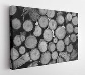 Canvas schilderij - Wood texture with a lot of logs. Grayscale photo of a lot of logs  -     1006754656 - 115*75 Horizontal