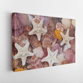 Canvas schilderij - Seashells background, lots of amazing seashells and starfishes mixed  -     1536970244 - 80*60 Horizontal