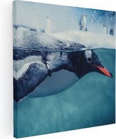 Artaza Canvas Schilderij Pinguïn Zwemt in het Water - 70x70 - Foto Op Canvas - Canvas Print