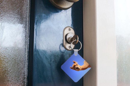 Porte-clés - Alpaga - Blauw - Ciel - Plastique