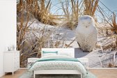 Behang - Fotobehang Sneeuwuil slaapt op het strand in New York - Breedte 420 cm x hoogte 280 cm
