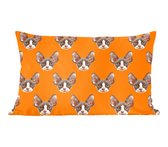 Sierkussen - Motifs Animaux - Multicolore - 40 Cm X 60 Cm