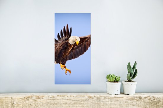 Poster Un pygargue à tête blanche américain dans un ciel bleu - 20x40 cm