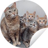 Garden Circle Chat - Chatons - Fourrure - 90x90 cm - Affiche de Jardin Ronde - Extérieur