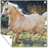 Tuindoek Paard - Natuur - Bruin - 100x100 cm
