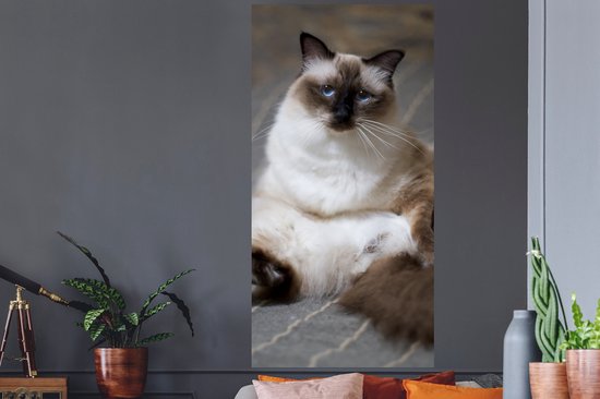 Stickers Stickers muraux - Chat - Fourrure - Marron - 80x160 cm - Film adhésif