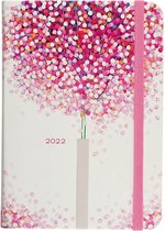 Peter Pauper - compacte agenda - 16 maanden 2021/ 2022 - Lollipop