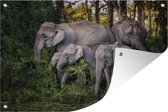 Tuinposter - Tuindoek - Tuinposters buiten - Olifant - Bladeren - Bos - 120x80 cm - Tuin