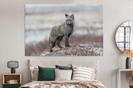 Renard gris dans un paysage enneigé 180x120 cm - Tirage photo sur toile (Décoration murale salon / chambre) / Animaux sauvages Peintures sur toile XXL / Groot format!