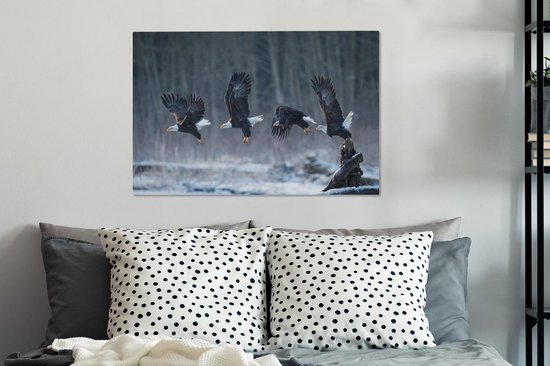 Aigle se lève à 90x60 cm - Tirage photo sur toile (Décoration murale salon / chambre)