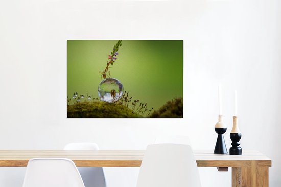 Tableau sur toile Fourmi assise sur une goutte d'eau - 60x40 cm - Décoration murale