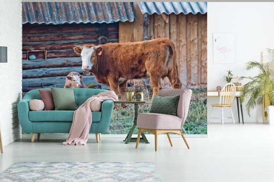 Papier peint photo peint vinyle - Vache brune avec veau largeur 325 cm x hauteur 260 cm - Tirage photo sur papier peint (disponible en 7 tailles)