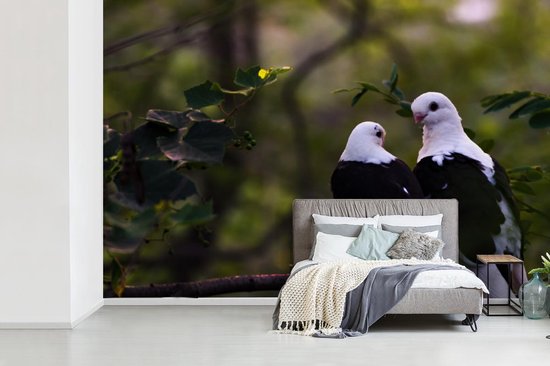 Papier peint photo peint vinyle - Deux oiseaux sur une branche largeur 360 cm x hauteur 240 cm - Tirage photo sur papier peint (disponible en 7 tailles)