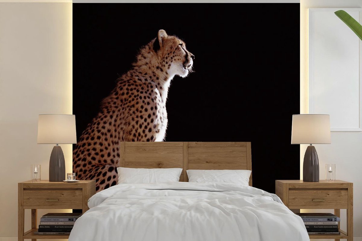 Behang - Fotobehang Cheeta - Dieren - Licht - Breedte 220 cm x hoogte 220 cm