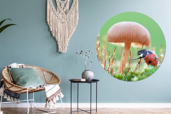 WallCircle - Cercle Mural - Cercle Mural - Coccinelle - Champignon - Insectes - Aluminium - Dibond - 140x140 cm - Intérieur et Extérieur