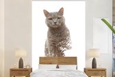 Papier peint - Papiers Papier peint photo Chat - Branche - Grijs - Largeur 170 cm x Hauteur 260 cm