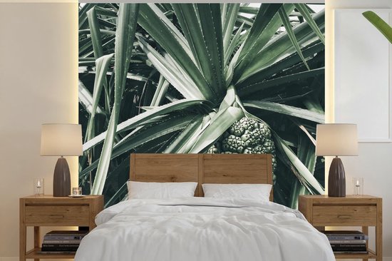 Behang - Fotobehang Cactus - Tropisch - Groen - Breedte 220 cm x hoogte 220 cm