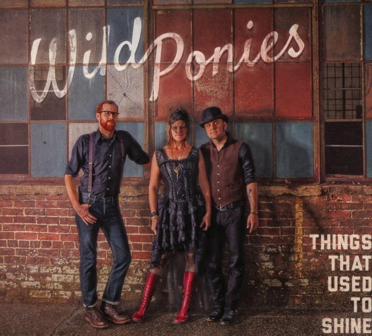 The Wild Ponies - Things That Used To Shine (CD)