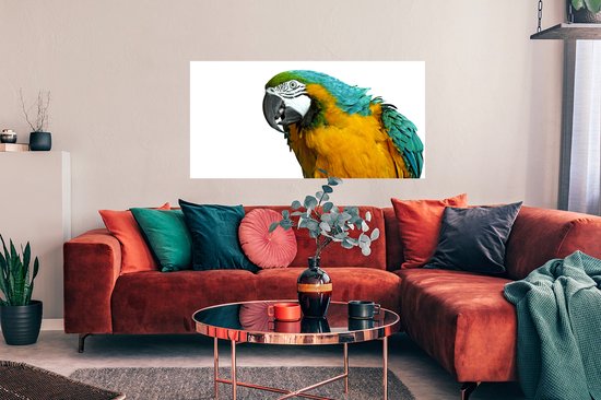 Affiche Perroquet - Vogel - Ressorts - Portrait - 120x60 cm