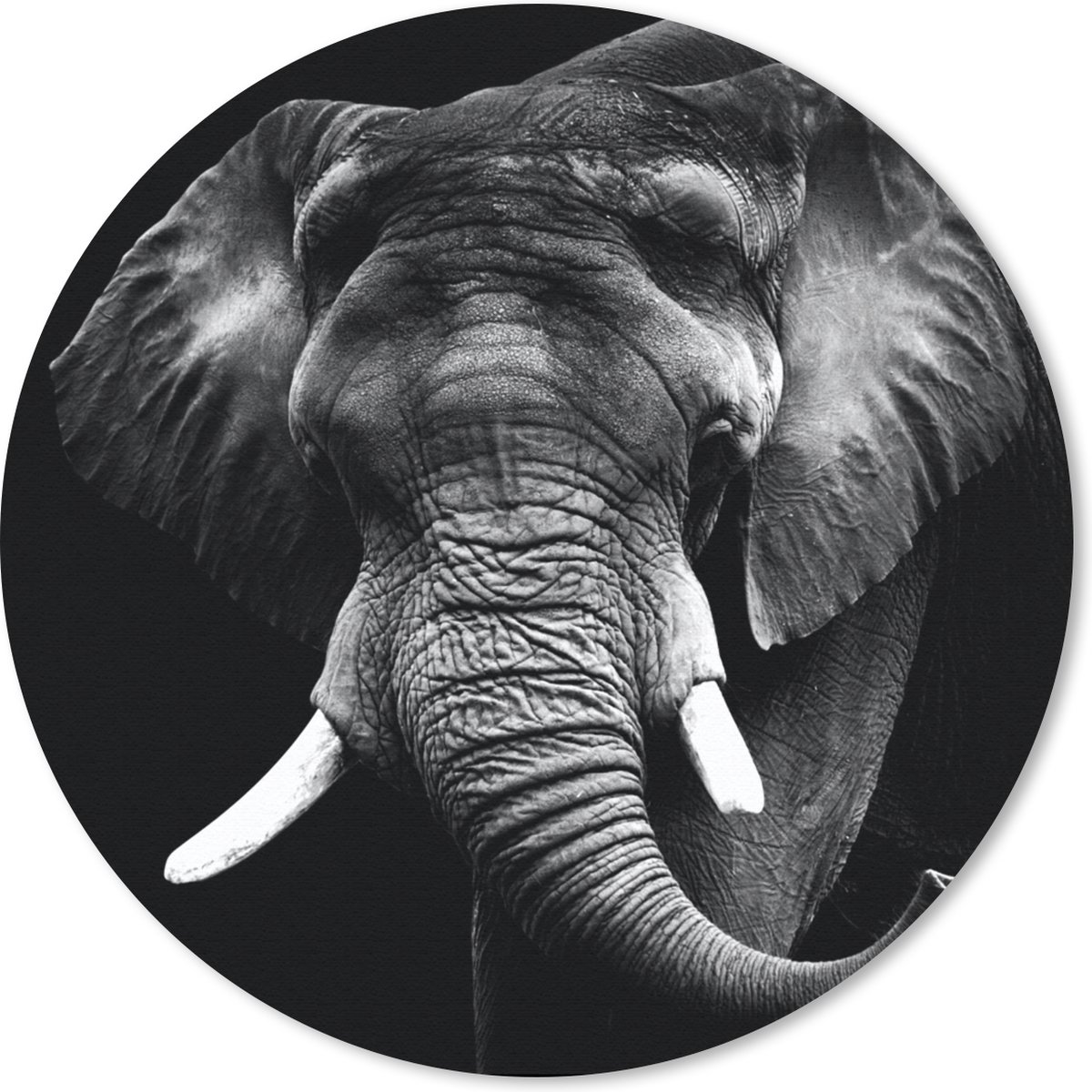 Muismat rond 20x20 cm - Mousepad Olifant - Tanden - Zwart - Wit - Ronde muismatten