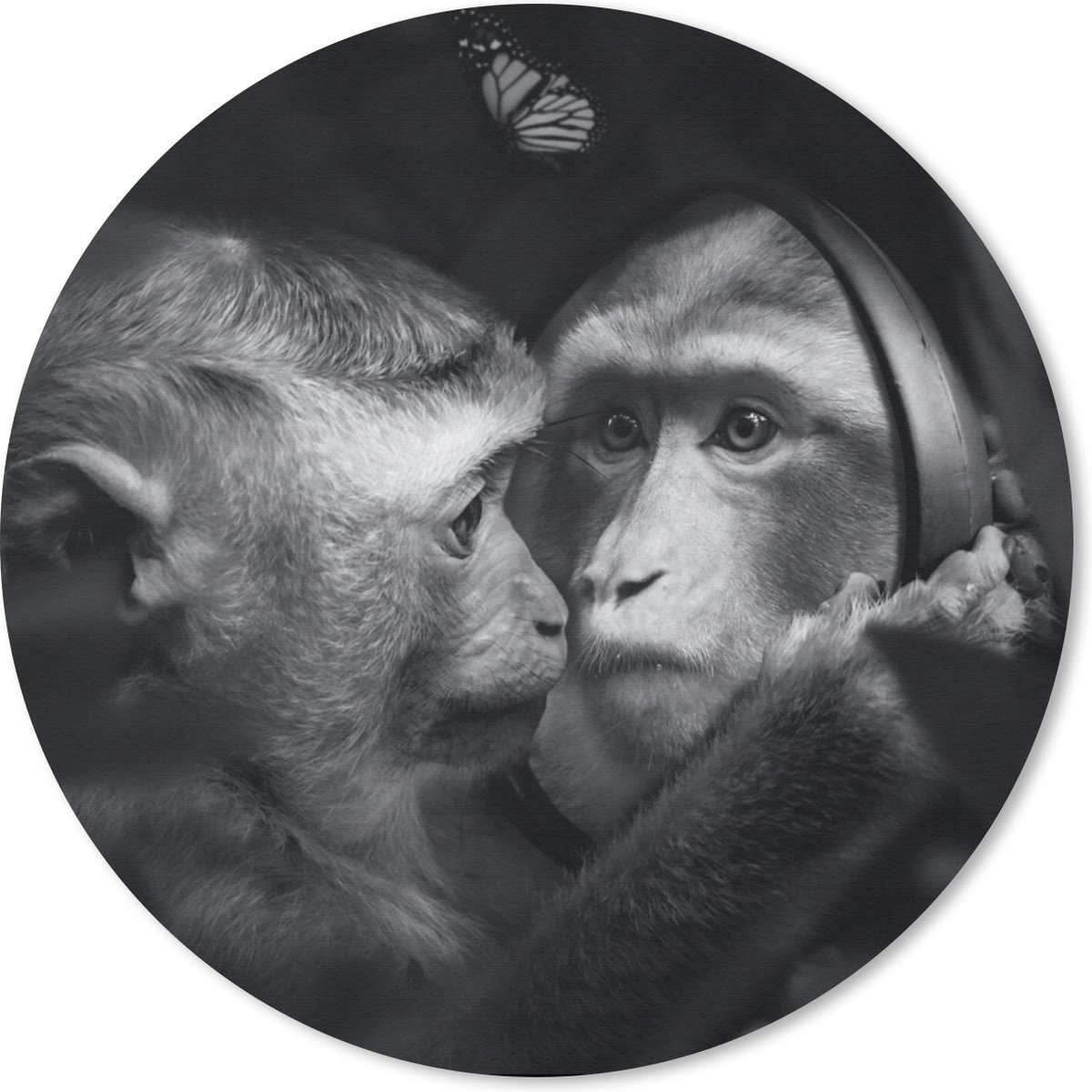 Muismat rond 30x30 cm - Mousepad Dieren - Apen - Natuur - Zwart - Wit - Ronde muismatten
