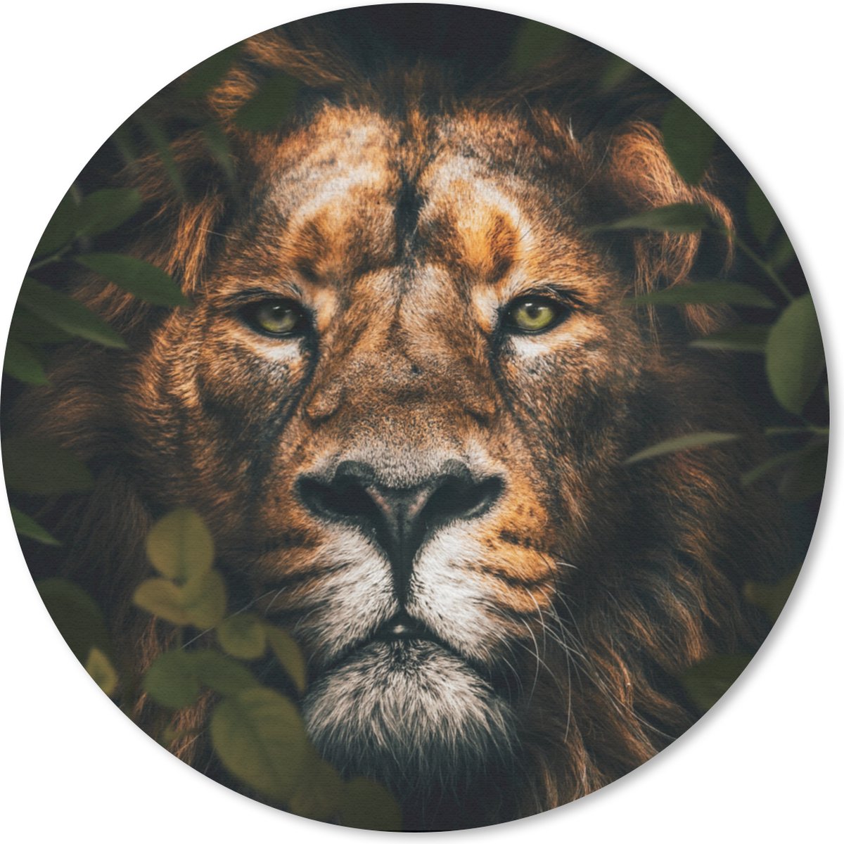 Muismat rond 30x30 cm - Mousepad Leeuw - Dieren - Jungle - Ronde muismatten