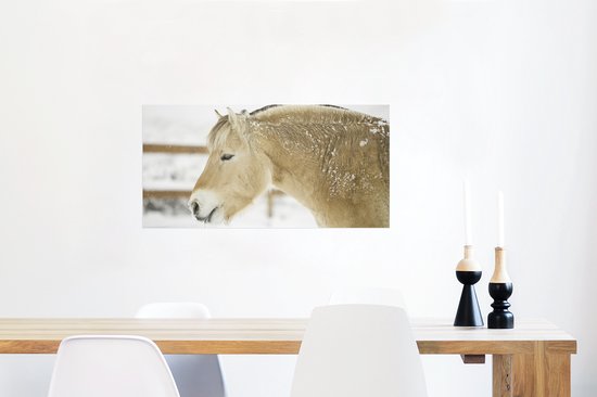 Poster Gros plan d'un cheval du fjord dans la neige - 80x40 cm