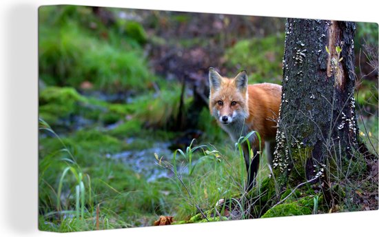 Peinture sur Toile Renard - Arbre - Animal de la Forêt - Automne - 160x80 cm - Décoration murale