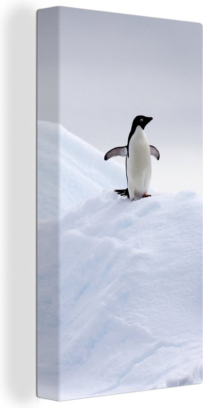 Canvas Schilderij Pinguïn - IJs - Winter - 40x80 cm - Wanddecoratie