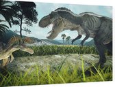 Dinosaurus T-Rex battlefield duo - Foto op Dibond - 90 x 60 cm