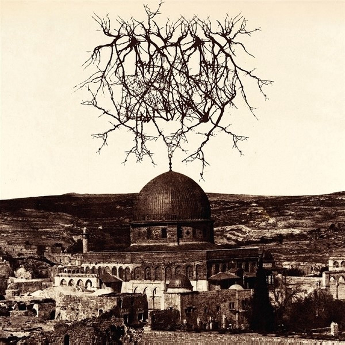 Entropy Created Consciousness - Impressions Of The Morning Star (LP)