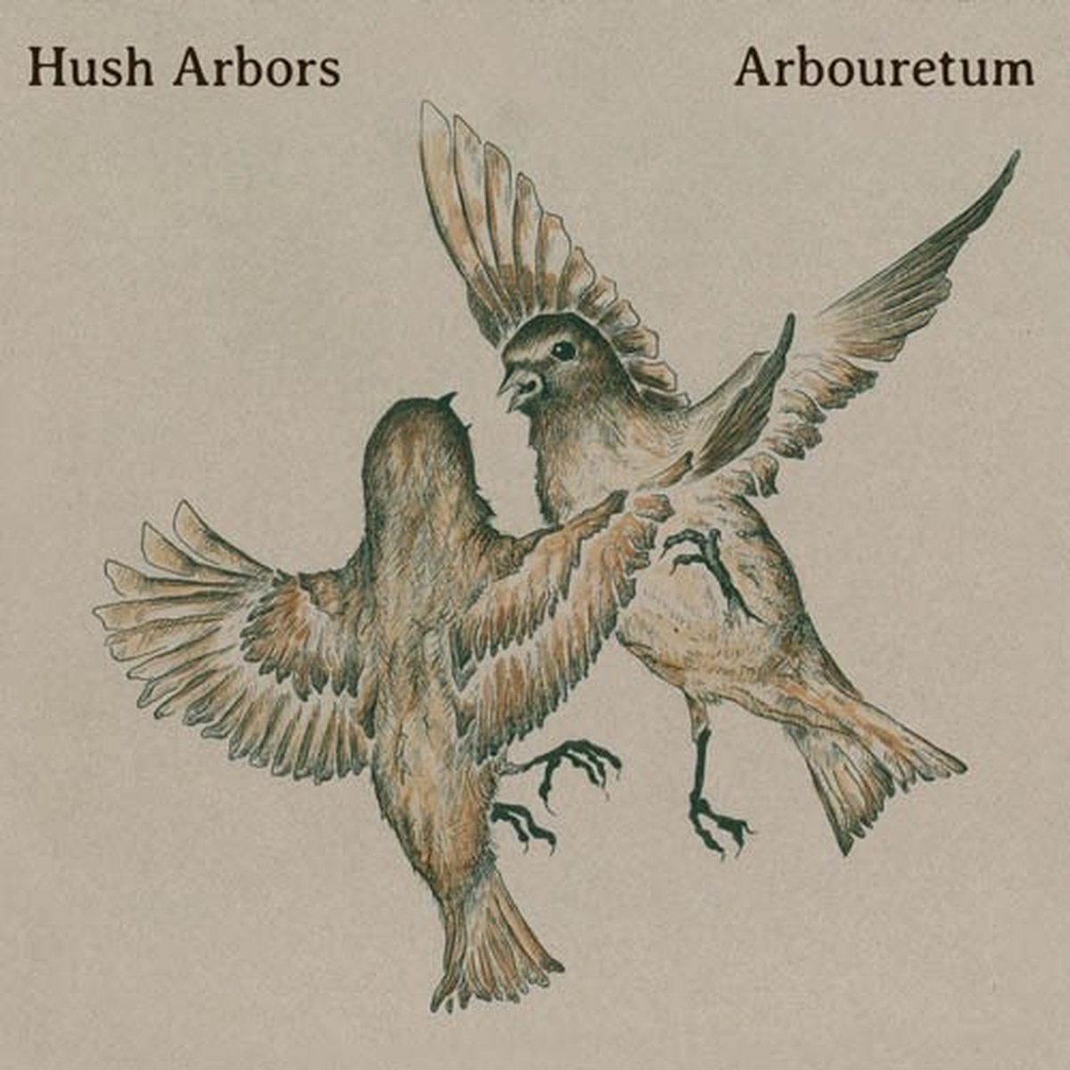 Hush Arbors & Arbouretum - Aureola (LP) (Limited Edition)