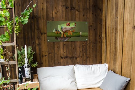 Poster de jardin Grenouille - Vert - Branche - 80x40 cm - Décoration murale Outdoor - Poster jardin - Toile jardin - Poster clôture - Tableau jardin