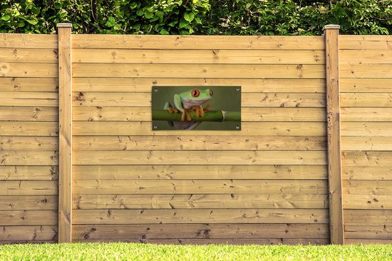 Poster de jardin Grenouille - Vert - Branche - 80x40 cm - Décoration murale Outdoor - Poster jardin - Toile jardin - Poster clôture - Tableau jardin